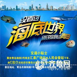 练就神功，畅享免费短剧的乐趣与收获
