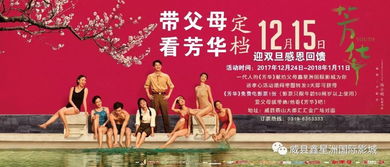 免费观看，送礼剧情短剧，视觉盛宴的探索之旅