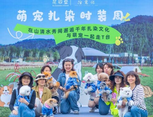 金童捡漏，免费短剧的乐趣与体验之旅