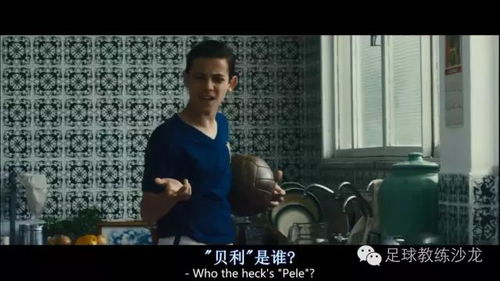 免费观看，落魄男子的逆袭之路——精彩短剧世界等你来探索