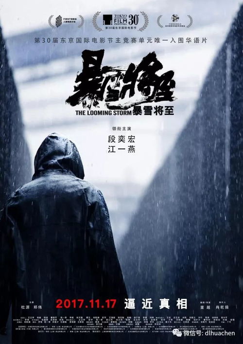 欺软怕硬短剧免费观看全集，深度解析与观影指南