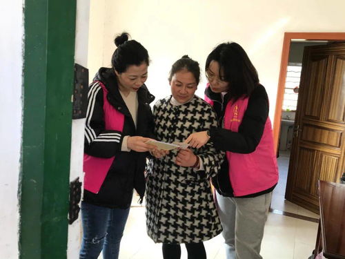 免费畅享，短剧影视全集新潮流探索