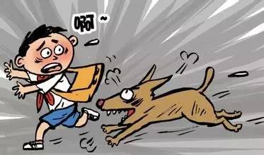 狗子赌博短剧，警醒与免费观看