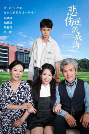 温情短剧，免费观看，温暖你的心