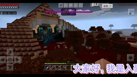 荒岛求生之旅，免费观看生存冒险短剧
