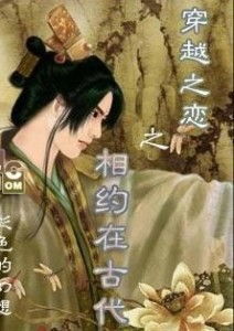 免费观看，古装侍卫穿越时空的视觉盛宴