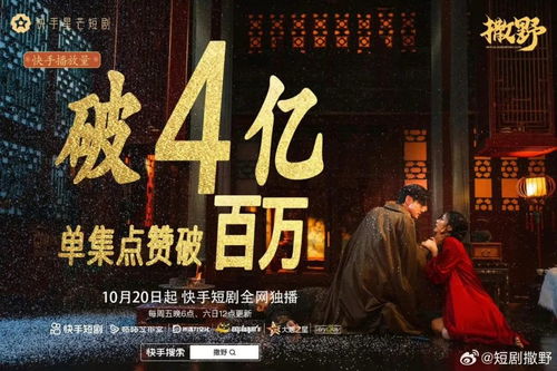 复仇大计深度解析，免费短剧的精彩呈现