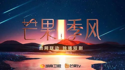 探索免费观看乖乖短剧视频的乐趣与魅力