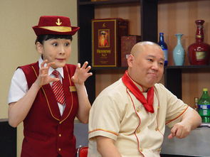 杨少华电视短剧，免费观看的魅力之旅 