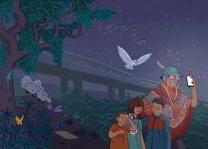 傻子奇遇，一段免费观看的短剧之旅 