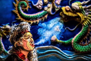 白虎护法，免费短剧的魅力世界
