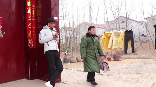免费观看，山门女婿的魅力与精彩之处