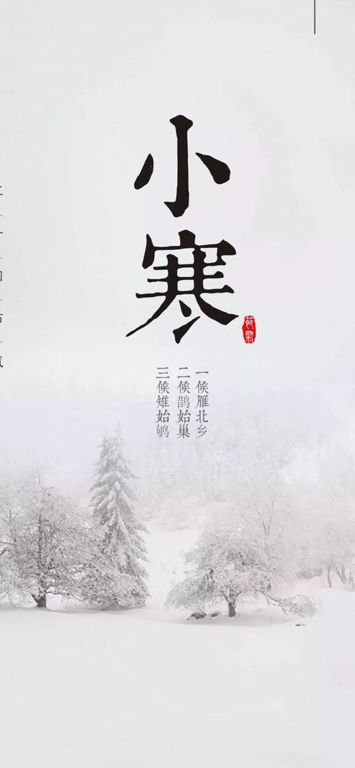 小寒时节暖心短剧推荐，免费观看的精彩世界等你探索
