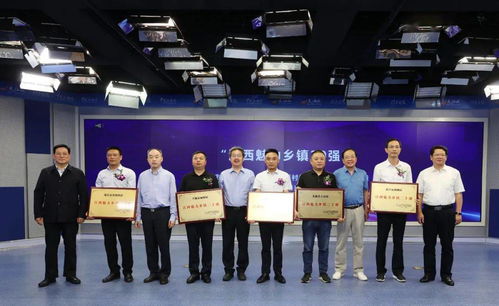 偏爱免费农村短剧，魅力与乐趣的探索