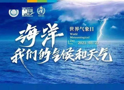 绝巅短剧，免费尽享精彩世界