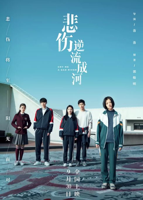 傻子新郎，一部引人深思的短剧免费观看指南