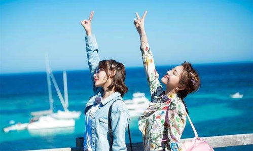 逃妻归来，免费观看的浪漫之旅