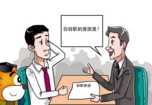 老板发火与短剧免费观看的启示与反思