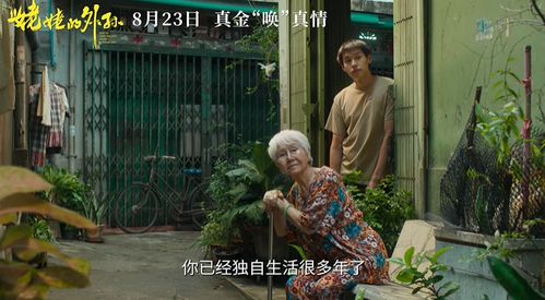 艰难退婚之旅免费短剧，一探究竟