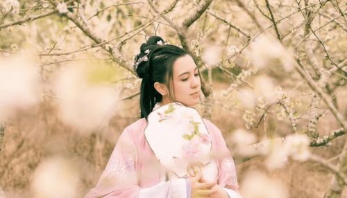 免费纨绔古装短剧，穿越时空的视觉盛宴