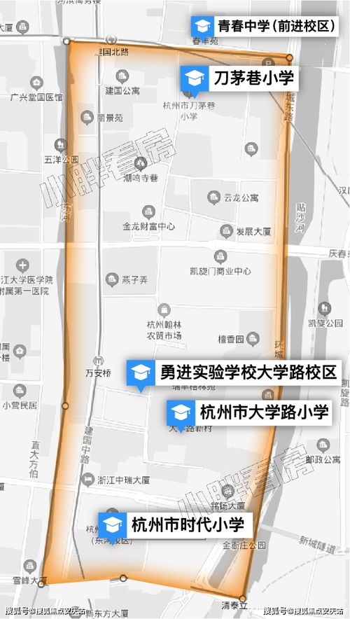 备胎之路，一部免费短剧的深度解析 