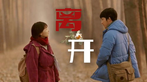 缘分难逃，一部令人难以错过的免费短剧