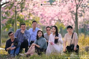 前任短剧全集，重温旧梦，续写前缘