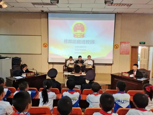 免费探案短剧，少年冒险与成长的完美结合