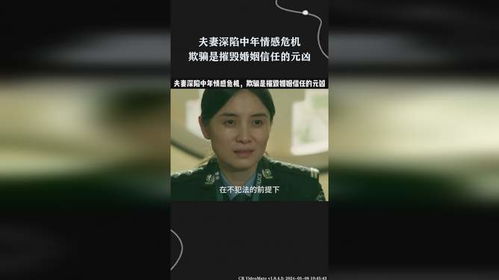 揭秘情感迷局，免费观看感情欺骗短剧的真相解析