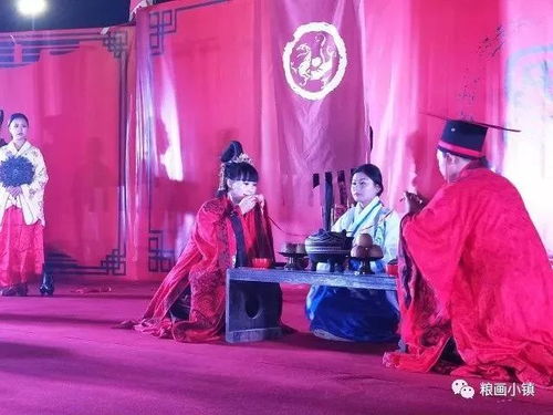 绝色公主短剧免费观看，一场视觉盛宴的探索 