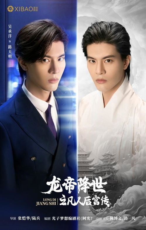 免费观看，后宫神医之短剧