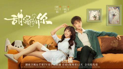 复婚之旅，幸福重燃——免费观看的温馨短剧