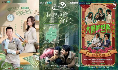 悬丘短剧，免费观看的影视新风尚