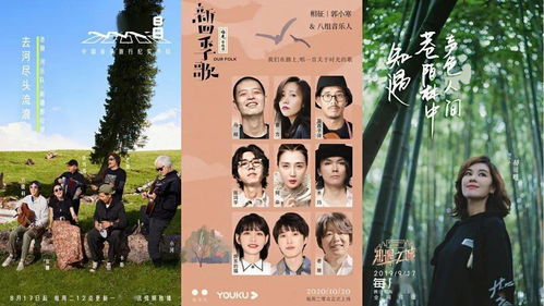 免费观看的奇闻纪实短剧，魅力与探索的旅程
