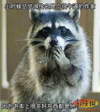 浣熊爆笑短剧，欢乐无边界的免费观影盛宴