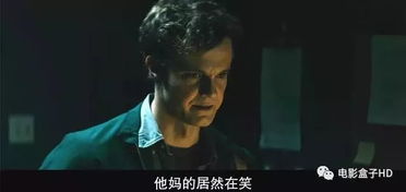 复仇之路，父母恩怨深度解析——免费观看短剧