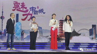 沈彻短剧免费观看，探索网络新潮流的魅力之旅