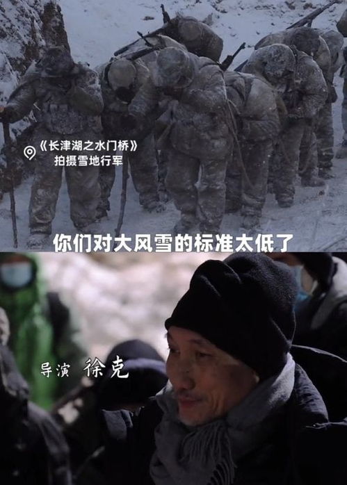 震撼心灵的全员阵亡短剧，免费观看等你体验