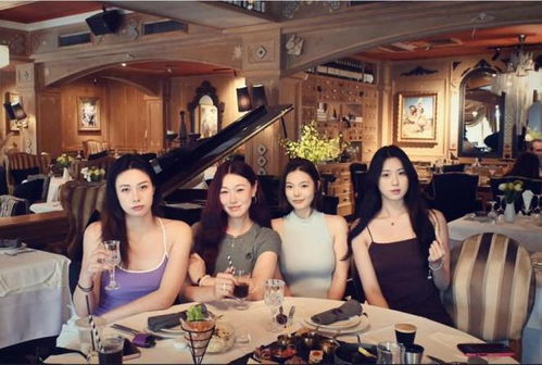 名媛聚会短剧，视觉盛宴免费观看