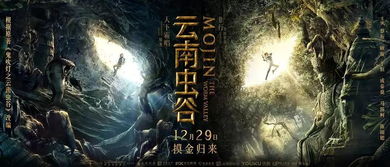 全员失忆，奇幻世界的探索之旅