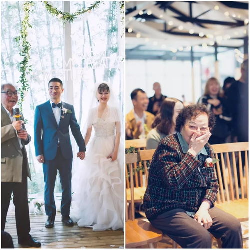 免费观看结婚与悔婚短剧，情感纠葛的深度剖析 