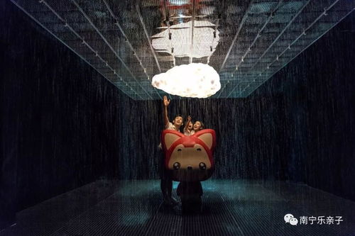 西境之王，奇幻之旅免费观看