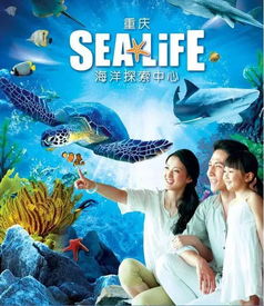 海洋之星，免费短剧，探索海洋的无限魅力