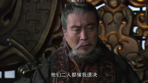 免费观看，太子英明，短剧精彩不容错过
