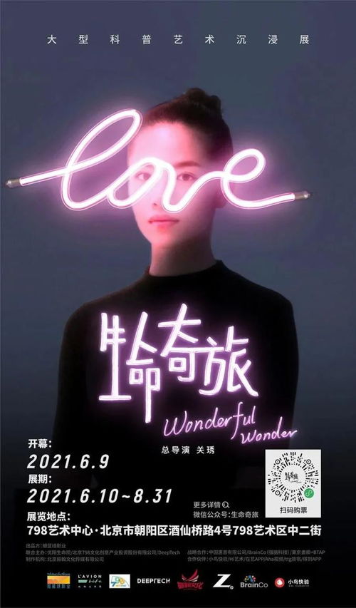 时光挚爱，免费短剧的魅力之旅与沉浸式体验
