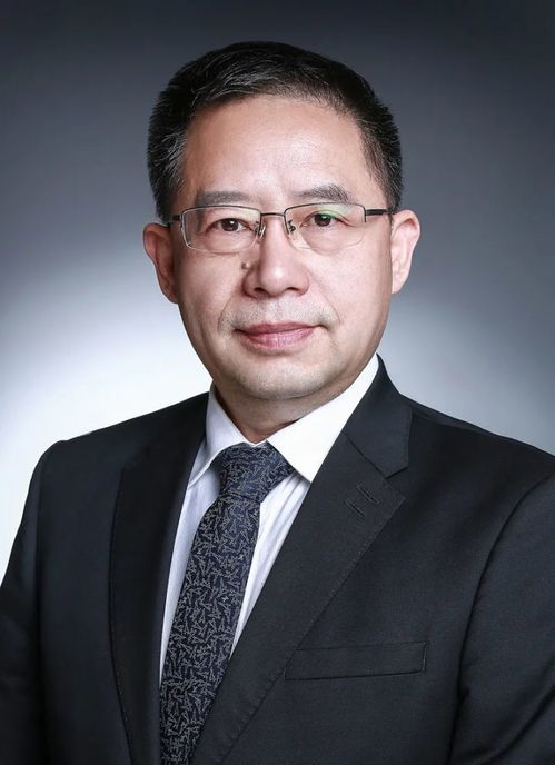 吕毅短剧全集免费观看，探索与享受的全新影视体验