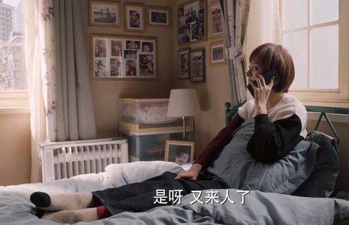 理想女友短剧，情感世界的新探索窗口