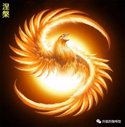 免费观看涅槃人生短剧，视觉与情感的双重盛宴