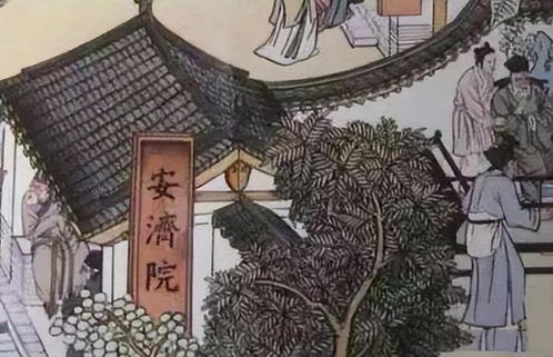 领略古代文化魅力，免费观看古代短剧大全