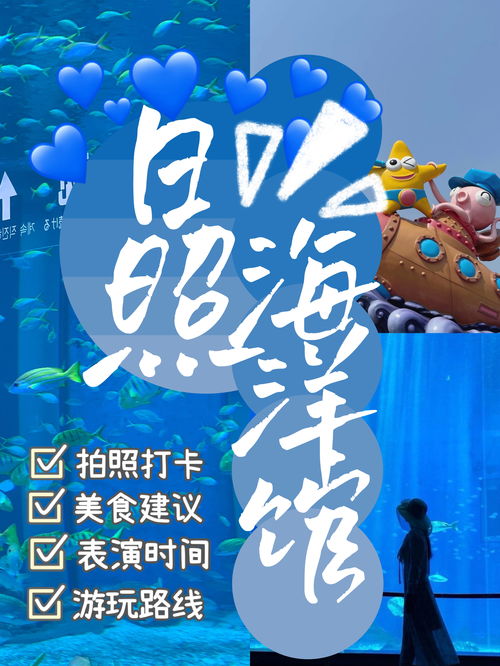 免费探索，积木短剧全集的娱乐与探索之旅